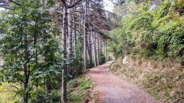 L'attivit&agrave; sportiva all'aperto, secondo le disposizioni in corso, rientra tra le necessit&agrave; primarie, rispettando tuttavia le opportune regole.