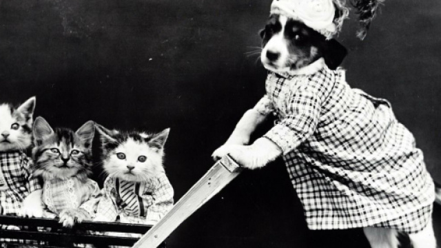 Oroscopo 16 marzo: Gemelli testardi, Cancro insoddisfatto