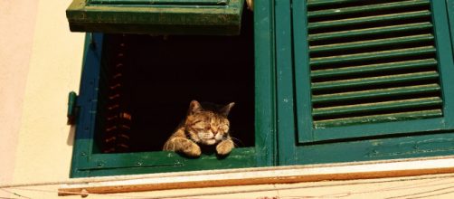 La cuarentena por coronavirus obliga a largos d&iacute;as de encierro y aislamiento. (Foto de Unsplash)