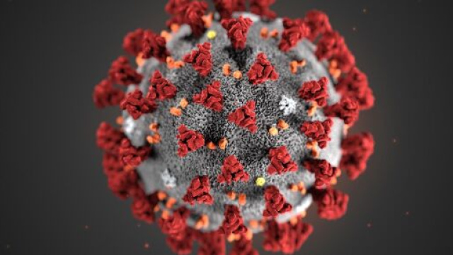Coronavirus Romania: aumentano i contagiati. (picture from wttw.com)