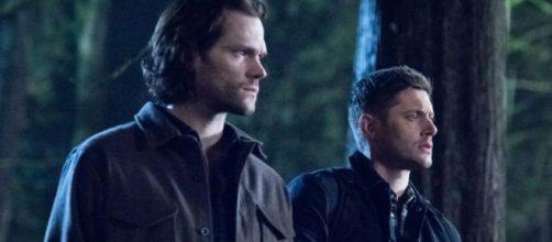Celebridades de 'Supernatural' nos dias de hoje. (Reprodu&ccedil;&atilde;o/The CW)