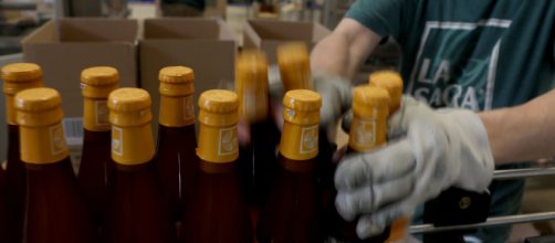 La OIT advierte que se pueden perder 25 millones de empleos por el coronavirus