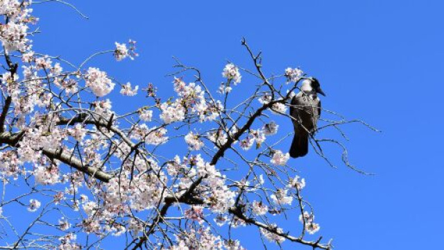 L'oroscopo di gioved&igrave; 19 marzo.