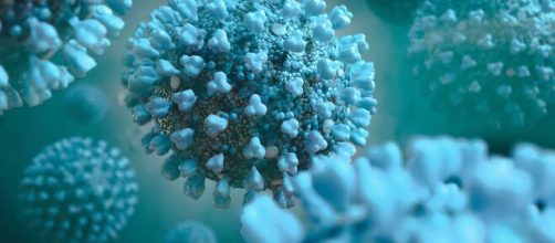 COVID-19: nutrici&oacute;n y microbiota | Nutribiotica - nutribiotica.es