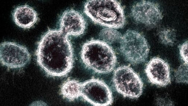 Il coronavirus pu&ograve; durare fino a tre ore nell'aria e fino a tre giorni sui materiali.