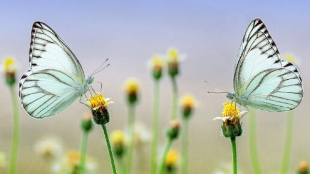 L'oroscopo dell'amore di coppia del 4 marzo.