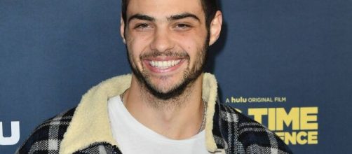 Em quarentena, Noah Centineo divulga n&uacute;mero de celular para conversar com f&atilde;s. (Arquivo Blasting News)