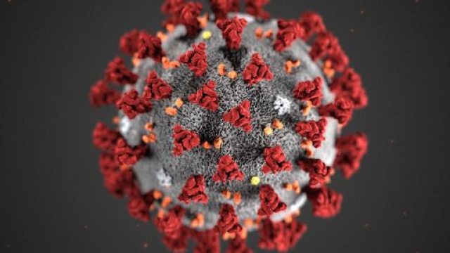 Coronavirus, Pier Luigi Lopalco: 'Si rester&agrave; a casa a lungo, forse in estate la svolta'