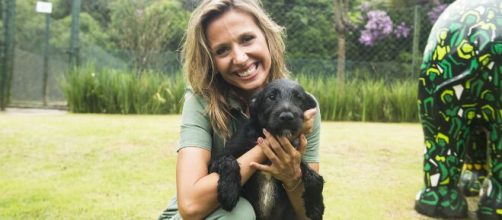 Luisa Mell e o marido est&atilde;o com psneumoni e acreditam estar contaminados pelo coronav&iacute;rus (Arquivo Blasting News)