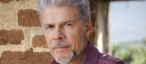 Com reprise de 'Fina Estampa', Jos&eacute; Mayer voltar&aacute; ao hor&aacute;rio nobre da Globo. (Arquivo Blasting News)