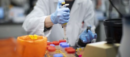 Los test de coronavirus r&aacute;pidos adquiridos en China no son viables