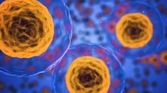 Ricerca, cellule umane ringiovanite in laboratorio | centrometeoitaliano.it