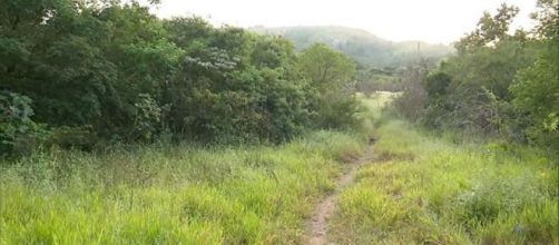 Kau&ecirc; foi morto em um matagal da regi&atilde;o. (Foto:Reprodu&ccedil;&atilde;o/ Record TV do RS))