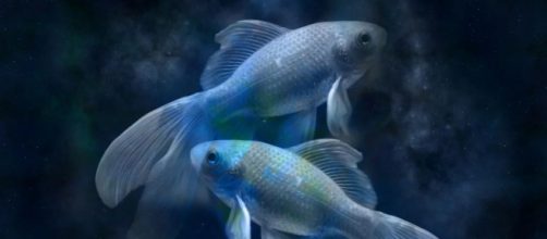 Peixes mostra mudan&ccedil;as surpreender na vida do signo em abril de 2020. (Reprodu&ccedil;&atilde;o/Pixabay)