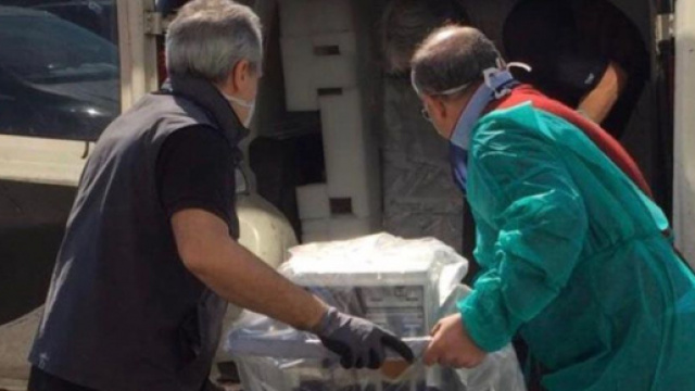I primi ventilatori polmonari arrivano al Policlinico S.Matteo.