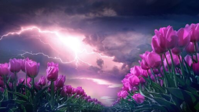 L'oroscopo dell'amore di coppia dell'1 aprile.