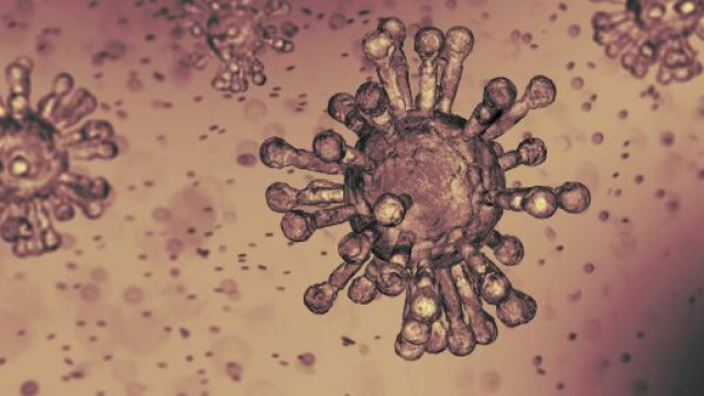 Coronavirus, peggiora il bilancio in Italia: i contagiati sono 2263, i morti sono 79. I guariti sono invece 160.