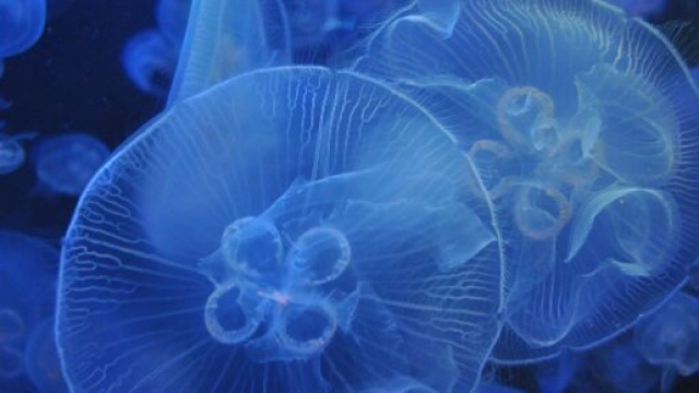 L'oroscopo dell'amore di coppia del 5 marzo.