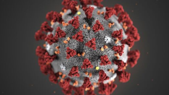 Per l'OMS bisogna contenere il virus, isolando e curando i malati e tracciando i loro contatti.