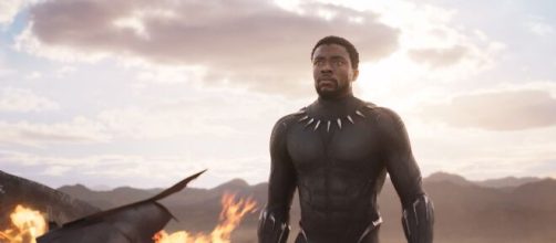 5 atores e atrizes que se destacaram em 'Pantera Negra&rsquo;. (Arquivo Blasting News)