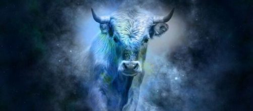 O hor&oacute;scopo do m&ecirc;s de abril reservada grandes novidades para os nativos de Touro, especialmente no trabalho. (Reprodu&ccedil;&atilde;o/Pixabay)
