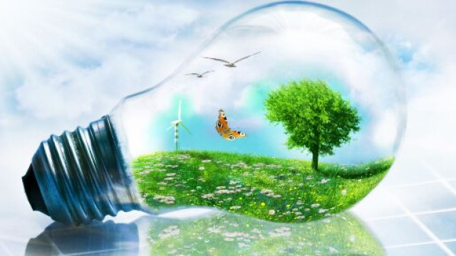 Dal 31 marzo parte su Facebook l'info-reality di Enea sul risparmio energetico.