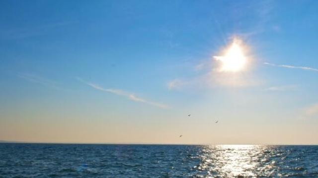 Il sole sarebbe un alleato prezioso contro il Coronavirus.