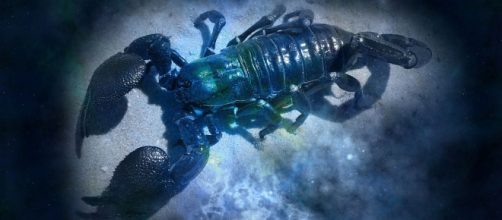 No m&ecirc;s de abril o signo de Escorpi&atilde;o ser&aacute; beneficiado em diferentes aspectos de sua vida, de acordo com seu hor&oacute;scopo. (Reprodu&ccedil;&atilde;o/Pixabay)