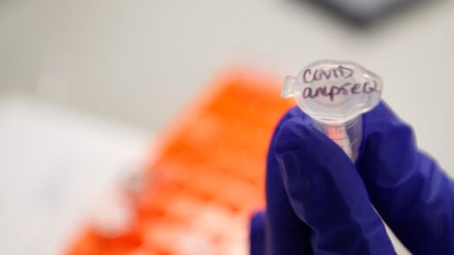 Covid-19, studio Imperial College di Londra: 'In Italia quasi 6 milioni di persone hanno contratto il virus'