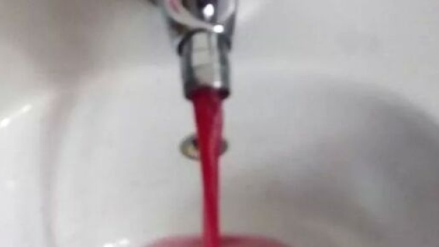 A Castelvetro, i rubinetti erogano lambrusco anzich&eacute; l'acqua