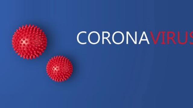 Coronavirus: individuati due ceppi, uno pi&ugrave; aggressivo dell'altro