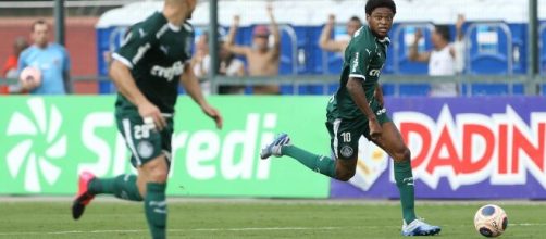 Foco do Palmeiras ser&aacute; a manuten&ccedil;&atilde;o de equipe para focar na Libertadores. (Cesar Greco/S.E Palmeiras)