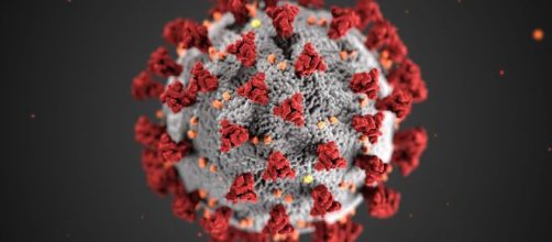 La pandemia del Coronavirus est&aacute; afectando la vida humana en el mundo. - livescience.com