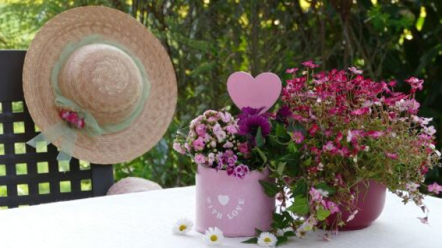 Oroscopo 7 marzo: Ariete passionale, Cancro ferito