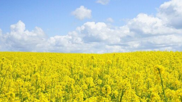 Cinque detti simpatici relativi al mese di marzo