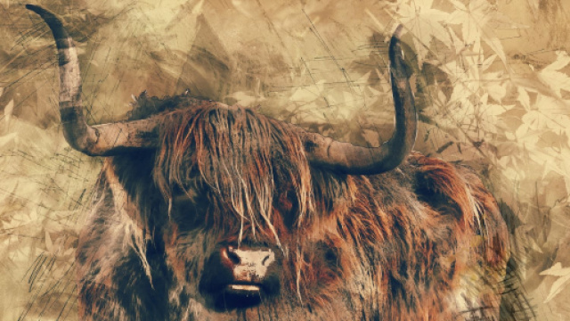 5 segni zodiacali spiccatamente vanitosi: c'&egrave; il Toro.
