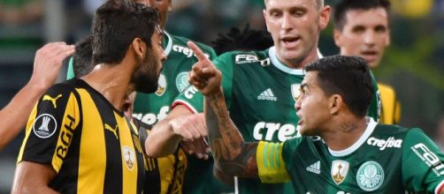 Em 2017, o Palmeiras conseguiu duas viradas sobre o Pen&atilde;rol. (Arquivo Blasting News).