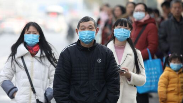 Cina, per effetto del coronavirus si va verso il divieto di mangiare carne di cane e di gatto, oltre che di animali selvatici.