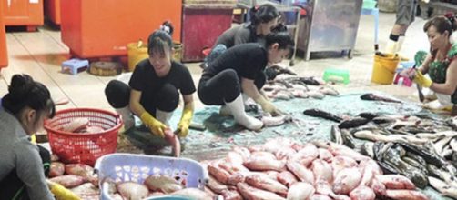 #BanWetMarkets est&aacute; movilizando a miles de personas en todo el mundo Photo: Igualdad Animal