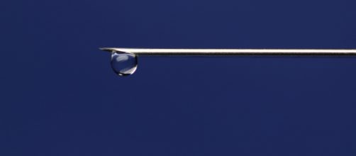 En la urgida b&uacute;squeda de la vacuna contra el coronavirus ya son 70 los proyectos, anunci&oacute; la OMS. (Foto de Piqsels).