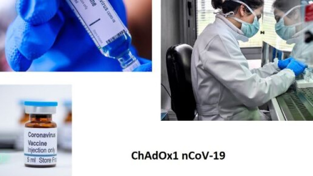 Un vaccino sviluppato presso il Jenner Institute (Oxford University) verr&agrave; prodotto a Pomezia, nei laboratori di Advent-IRBM.