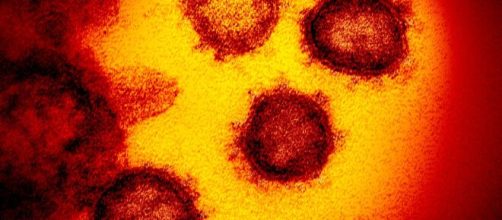 N&uacute;mero real de infectados deve ser maior. (Arquivo Blasting News)