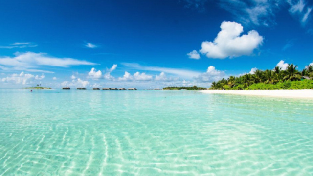 Coronavirus : bloqu&eacute;s aux Maldives un couple pourrait se retrouver ruiner. Credit : Pexels/Asad Photo Maldives