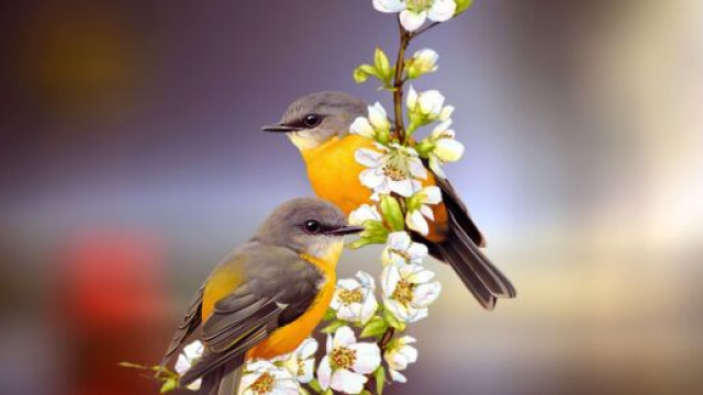 L'oroscopo dell'amore di coppia del 15 aprile.