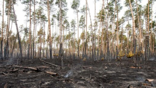 Incendio a Chernobyl, fiamme spente da vigili del fuoco e pioggia.