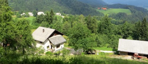 Covid-19: Menino percorre mais de 1 quil&ocirc;metro para estudar em meio pandemia. (Arquivo Blasting News)