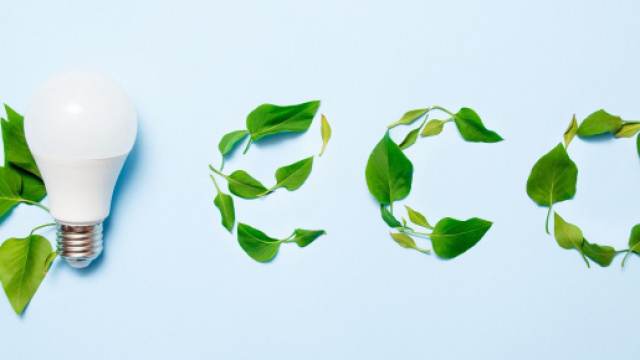 Energie rinnovabile: ecco perch&egrave; ci fa risparmiare su luce e gas