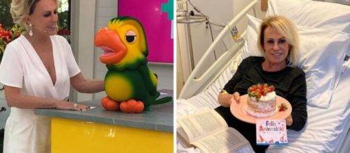 Curiosidades sobre Ana Maria Braga. (Reprodu&ccedil;&atilde;o/Instagram)