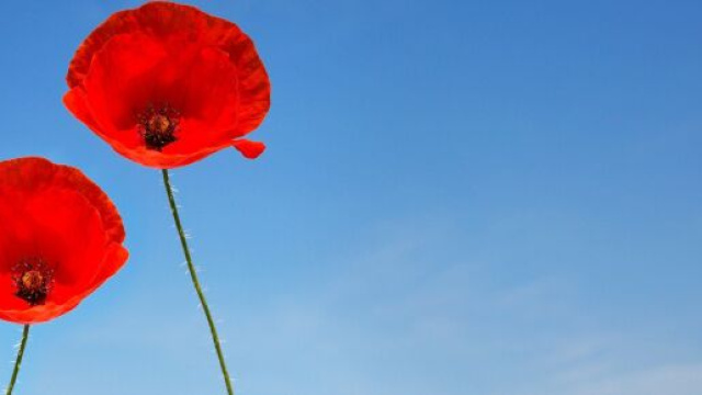 L'oroscopo dell'amore di coppia del 4 aprile.