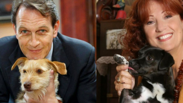 Un posto al sole, Ferri con il cane Pipita e Giulia con Bricca.